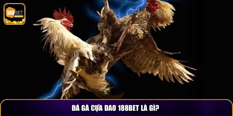 Đá Gà Cựa Dao 188BET – Trải Nghiệm Cá Cược Kịch Tính 2 Đá gà cựa dao 188BET là gì?