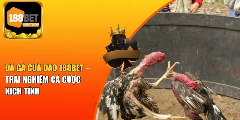 Đá Gà Cựa Dao 188BET – Trải Nghiệm Cá Cược Kịch Tính 7 Đá Gà Cựa Dao 188BET – Trải Nghiệm Cá Cược Kịch Tính