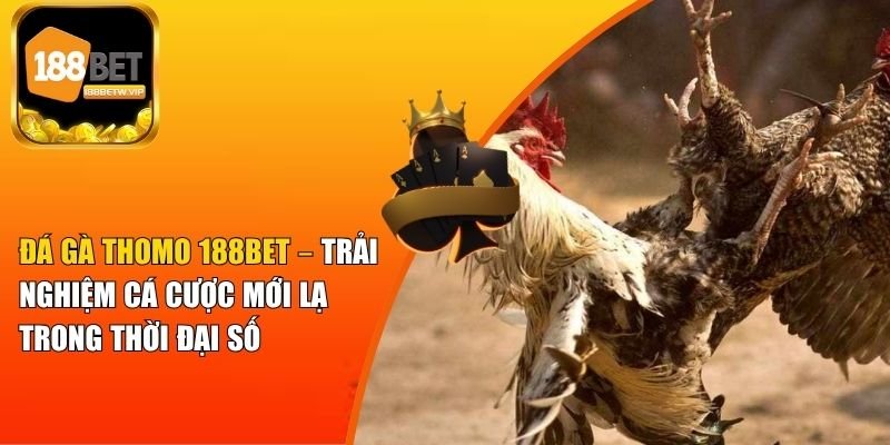 Đá Gà Thomo 188BET – Trải Nghiệm Cá Cược Mới Lạ 9 Đá Gà Thomo 188BET – Trải Nghiệm Cá Cược Mới Lạ