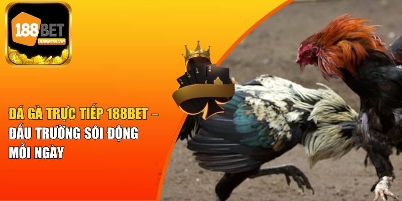 Đá Gà Trực Tiếp 188BET – Đấu Trường Sôi Động Mỗi Ngày 6 Đá Gà Trực Tiếp 188BET – Đấu Trường Sôi Động Mỗi Ngày