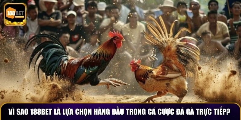 Đá Gà Trực Tiếp 188BET – Đấu Trường Sôi Động Mỗi Ngày 3 Vì sao 188BET là lựa chọn hàng đầu trong cá cược đá gà trực tiếp?